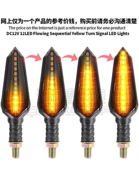 适用摩托车12LED流水转向灯 Flowing Sequential Turn signal