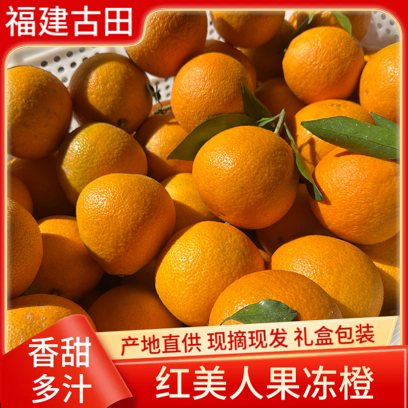 福建古田红美人果冻橙爱媛28号果冻橙子当季新鲜水果柑橘子礼盒装