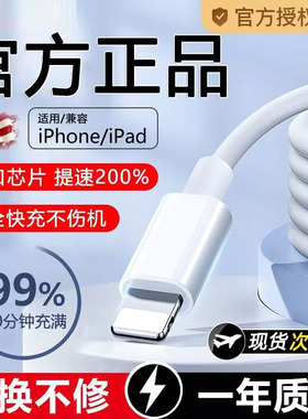 适用苹果16充电线usb手机数据线15promax快充iphone14原车载13闪充typec苹果12PD充电器11加长装2米se3/8线7p