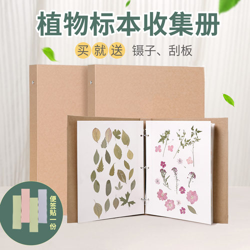 永都植物标本收集册活页覆膜相册