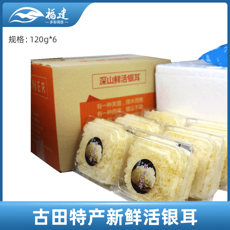 鲜珥家新鲜活银耳120g/袋*6袋采摘现发雪耳无硫福建古田特产炖煮在类目 水产肉类/新鲜蔬果/熟食, 新鲜蔬菜/蔬菜制品, 新鲜蔬菜, 新鲜银耳中 - 来自Buy2taobao.com提供专业的淘宝代购服务