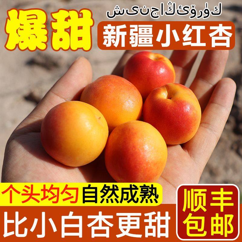 【顺丰】正宗新疆小红杏新鲜水果应当季杏子阿克苏吊干杏胜小白杏