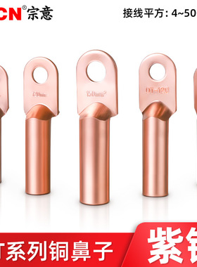 DT铜鼻子端子 冷压接线线鼻子紫铜接头线耳4/10 16/25/35/50平方