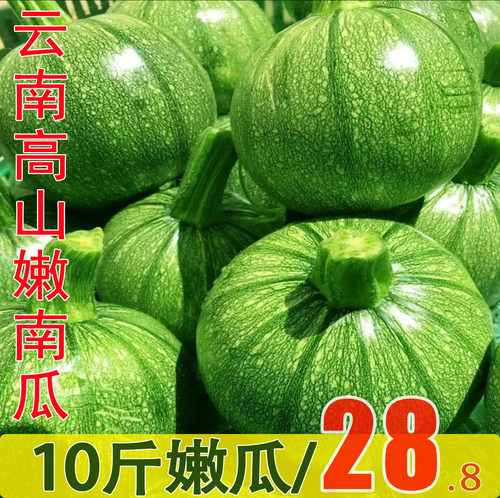 云南应季现摘嫩西葫芦整箱