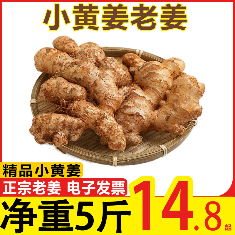 生姜新鲜云南小黄姜 理疗怀姜汁老姜仔月子姜罗平老姜汁10斤包邮5