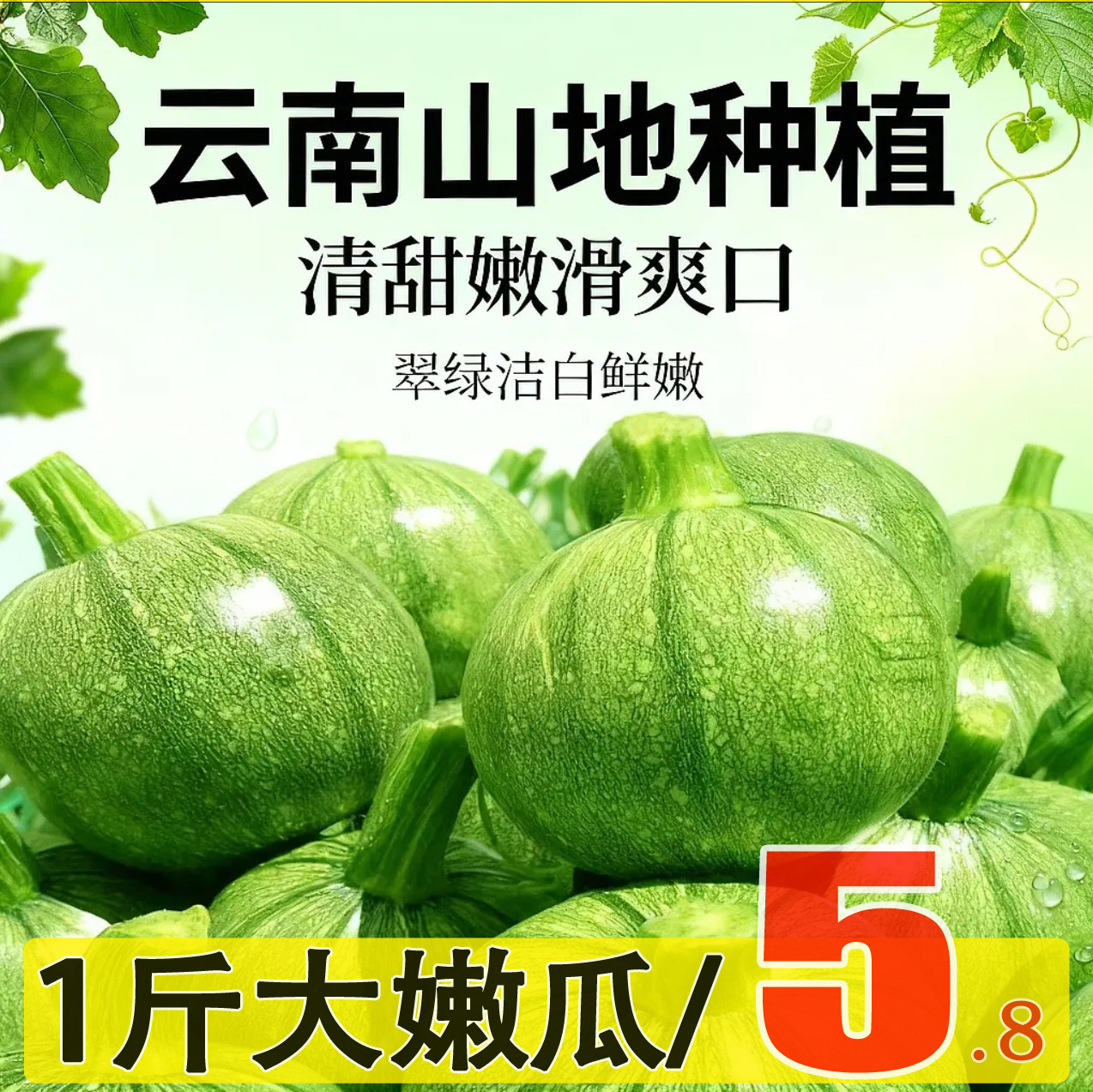 云南小圆瓜嫩南瓜蔬菜圆西葫芦当季整箱现摘云南小瓜倭瓜青瓜