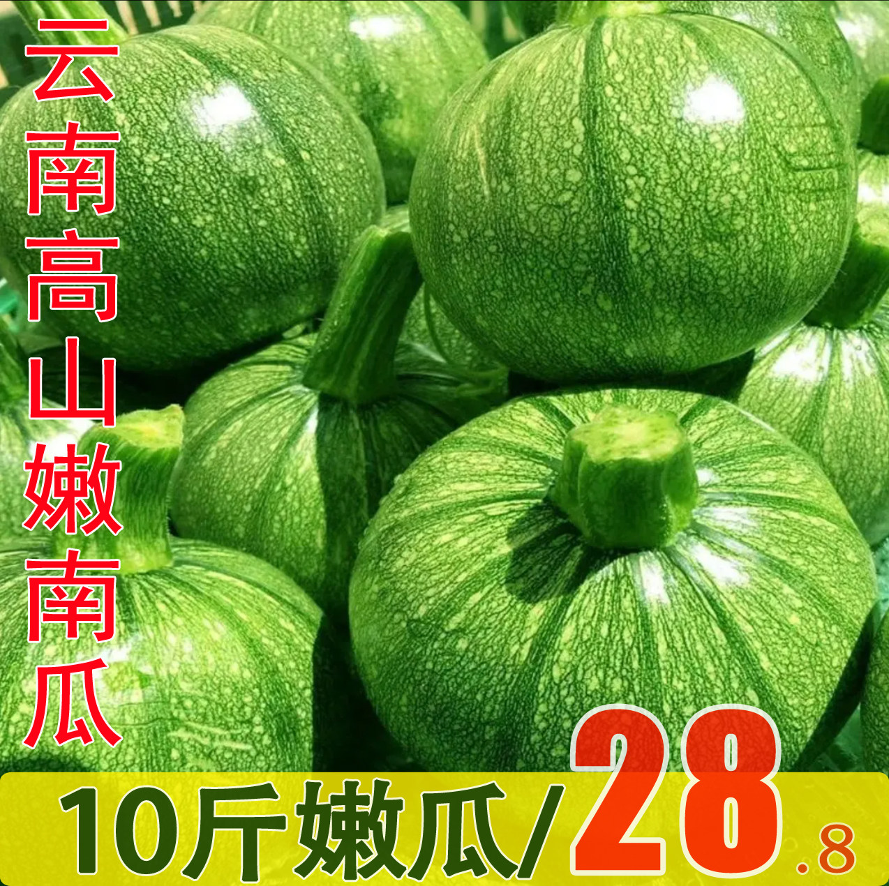 云南小圆瓜嫩南瓜蔬菜圆西葫芦当季整箱10斤现摘云南小瓜倭瓜青瓜 - 实物图