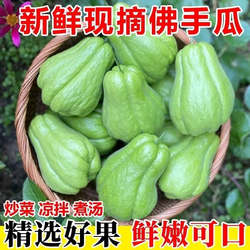 现摘10斤云南佛手瓜福寿瓜洋茄子新鲜蔬菜农家洋捧瓜土耳瓜扶
