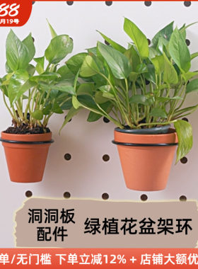 木工小舅 15mm洞洞板配件阳台花盆架环 客厅金属挂式多肉小花支架