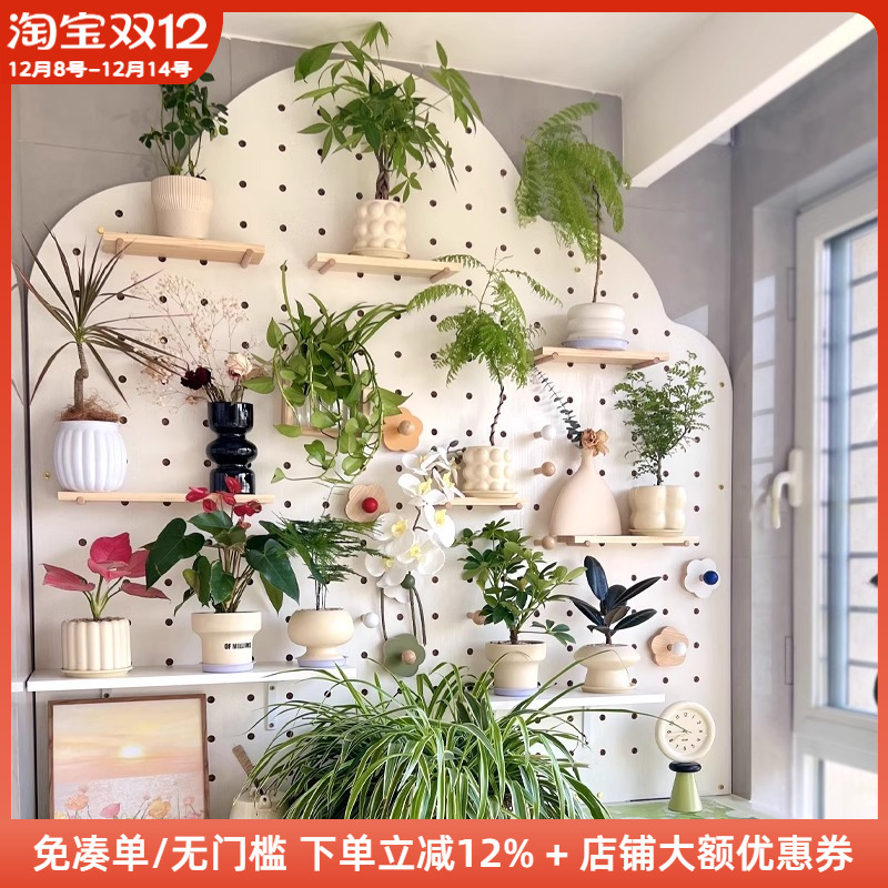 阳台洞洞板绿植墙花架