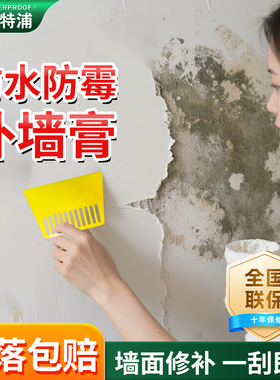 防水补墙膏墙面修补白色防潮防霉腻子内墙墙壁白墙修复腻子粉家用
