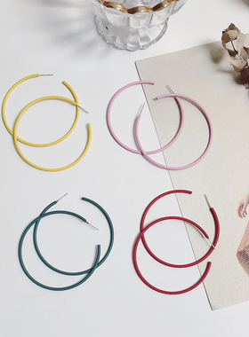 S925银针耳环2019新款潮网红复古大圆环圆圈红色气质夸张欧美耳圈