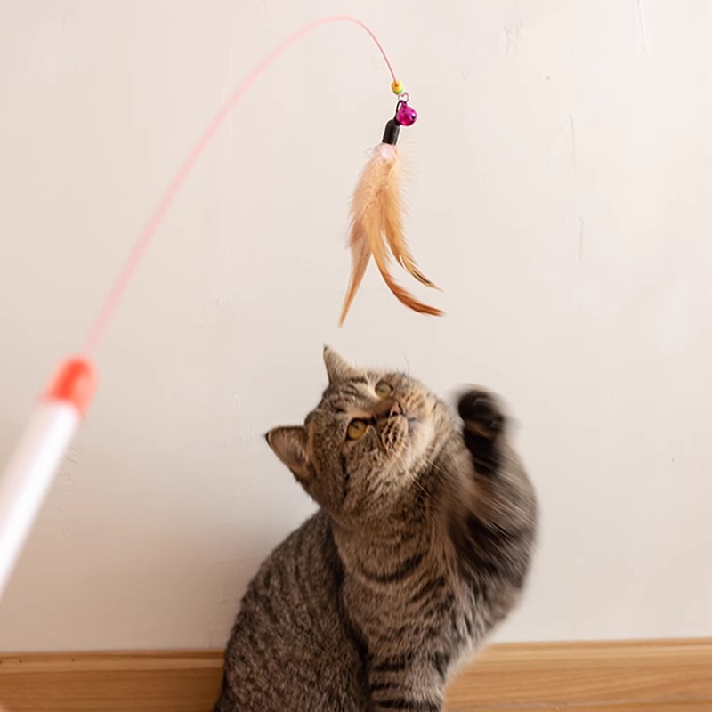 猫玩具逗猫棒钢丝彩色羽毛带铃铛