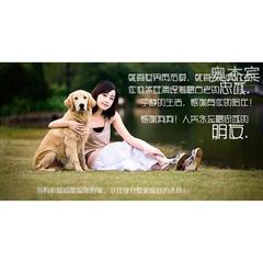 熊版阿拉斯加犬宠物小狗狗活体便宜巨型狗幼崽大型犬阿拉斯加活体