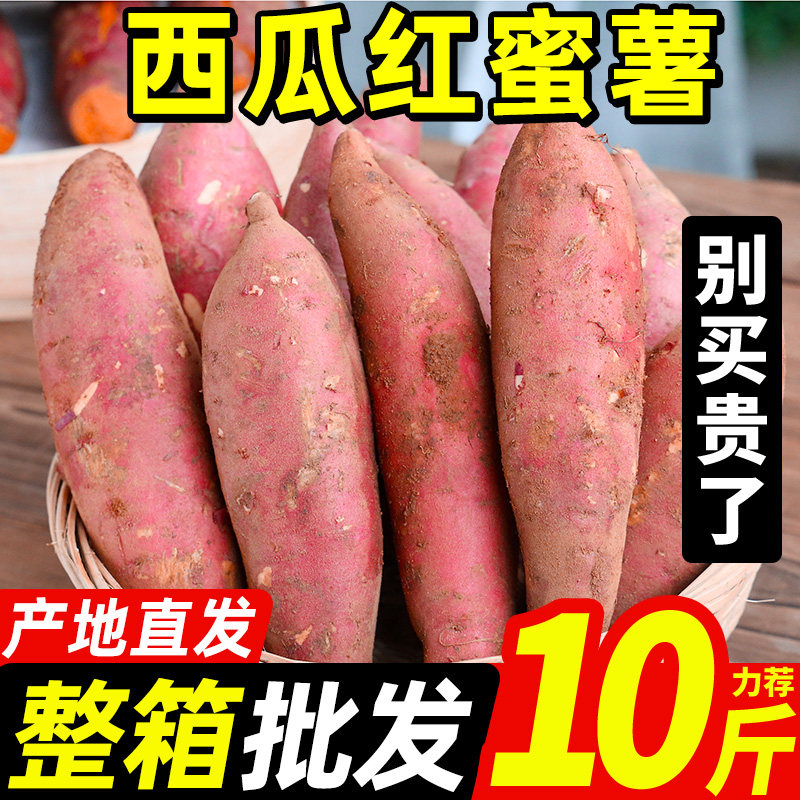 【3000单亏完涨价】高山新挖地瓜红薯新鲜板栗红薯糖心西瓜红蜜薯