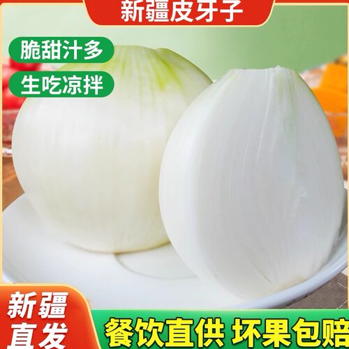新疆皮牙子白洋葱餐饮直供