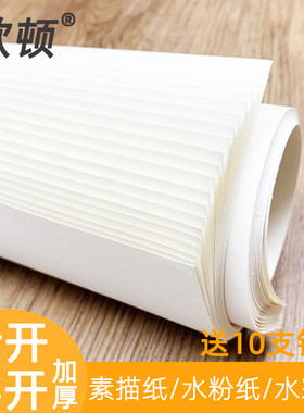 全开素描纸2k大张超大1k一开二开对开半开160铅画纸整开230g全开水彩纸美术生专用水彩加厚画纸180g水粉纸2开