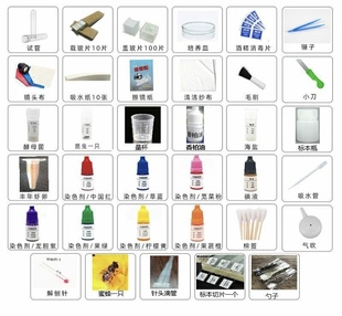 显微镜生物教学实验配件大礼包动植物细胞标本切片载玻片标本永久切片标本显微镜耗材