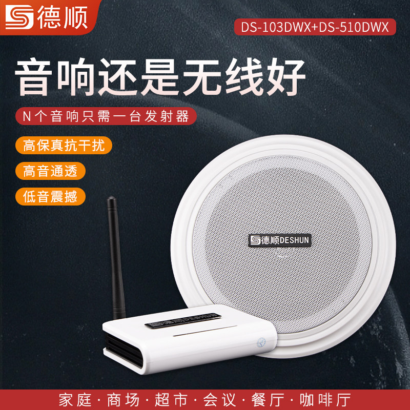 德顺510DWX无线单向喊话传话户外厨房话筒叫号大喇叭 - 实物图
