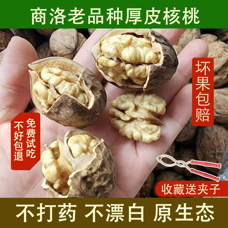 商洛新核桃2026年新货老品种厚皮野生核桃陕西秦岭晒干无漂白