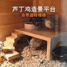 布置爬梯屋卢丁带楼梯造景平台 芦丁鸡鸡窝躲避桌子造景套餐用品