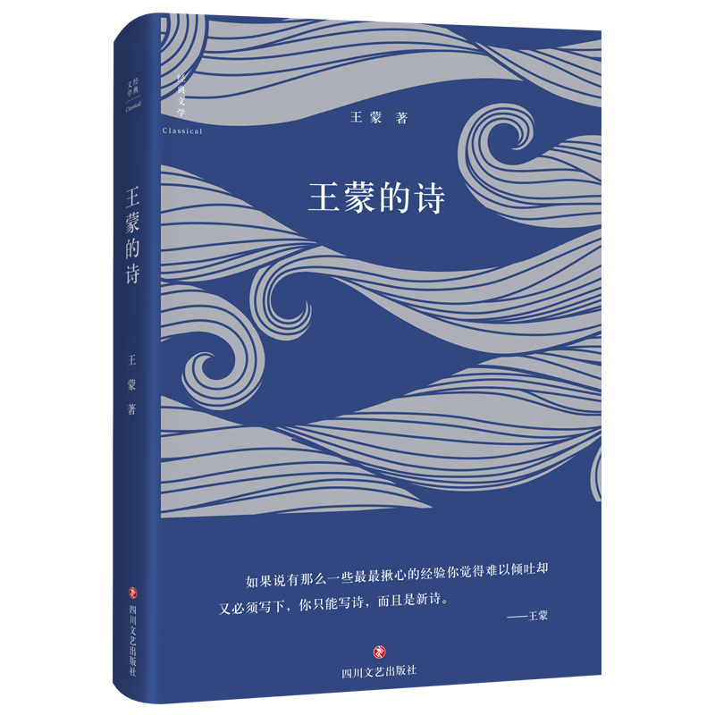 正版包邮 王蒙的诗 王蒙 四川文艺出版社 中国现当代诗歌 书籍 在吕贝克教堂听音乐 琴弦与手指的对话