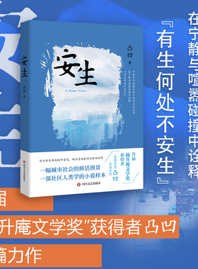 安生 作者凸凹 中国当代长篇文学小说 现实主义长篇小说 首届“杨升庵文学奖”获得者凸凹长篇力作 社区人类学的小说样本
