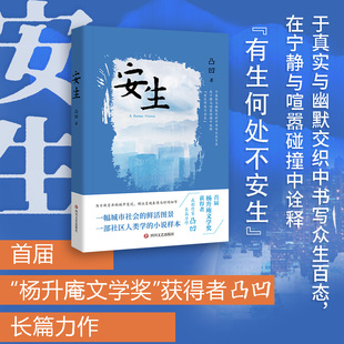 现实主义长篇小说 首届 杨升庵文学奖 安生 社区人类学 中国当代长篇文学小说 获得者凸凹长篇力作 小说样本 作者凸凹