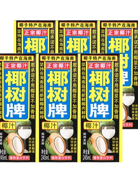 椰树椰汁过年聚餐饮品植物蛋白饮料245ml*6盒-MS
