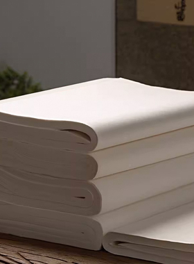 善琏湖笔宣纸书法专用空白毛边纸毛笔国画初学者入门临摹笔墨纸砚文房四宝练字字帖练习纸水墨套装软笔半熟生