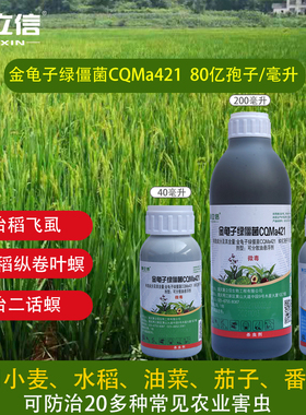 聚立信80亿孢子/毫升金龟子绿僵菌CQMa421稻飞虱杀虫剂