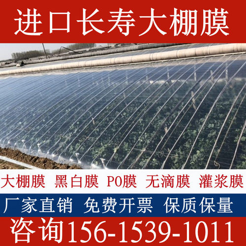 大棚膜风口膜围边裙边围子底围膜裙膜大棚二层膜内膜防寒保温加厚