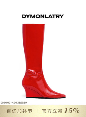 DYMONLATRY 2025新款高筒女靴 小方头时尚坡跟高筒靴