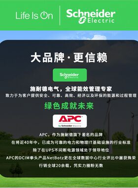 EPDU1016B 施耐德机房柜插座8口位个C13垂直竖式水平AP6221CH