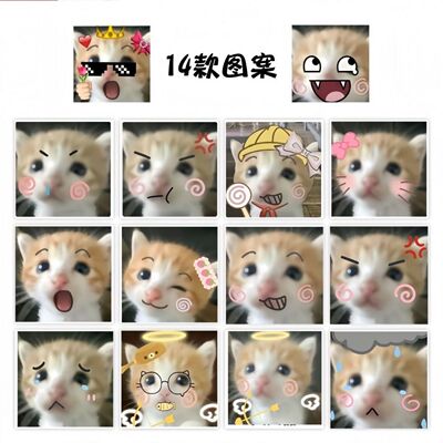 死对头小猫萌宠贴纸35