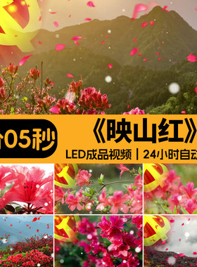 映山红 爱国红歌花海红花舞蹈舞台LED大屏幕背景配乐成品视频素材