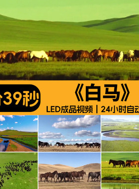 白马 内蒙古大草原民族舞蹈表演出傲日格乐LED大屏幕背景视频素材