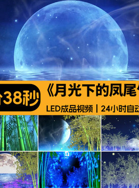 月光下的凤尾竹 月色月亮竹林竹子云南傣族葫芦丝LED背景视频素材