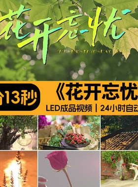 花开忘忧 青春时光爱情唯美配乐歌曲周深春晚大屏LED背景视频素材