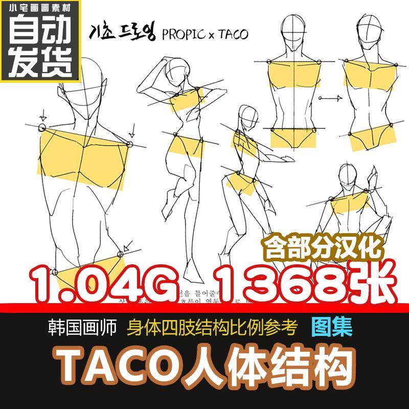 taco人体结构身体角度四肢比例手足头绘画临摹参考资料美术CG素材