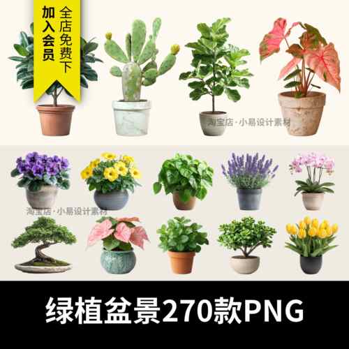 高清盆栽绿植物园艺花卉琴叶榕蝴蝶兰实拍PNG免扣图片PS设计素材