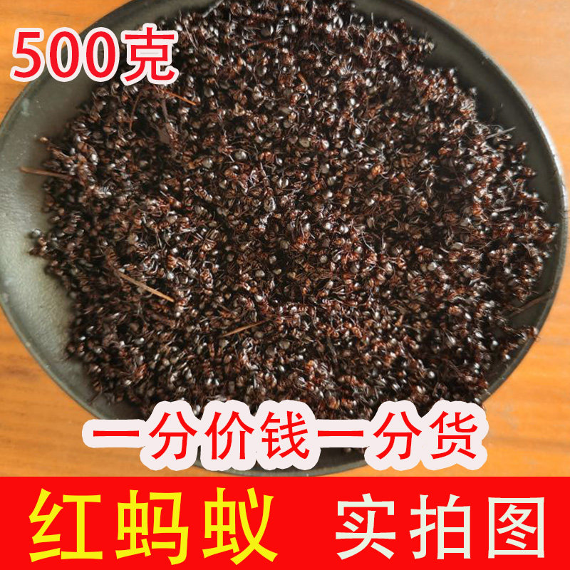 干货另有黄蚂蚁中药材