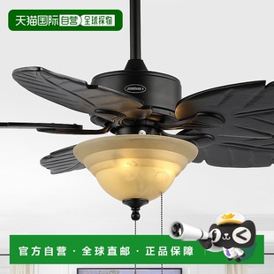 yPoinciana 英寸 木棕榈叶 自营 灯沿海波西米亚铁 jonathan