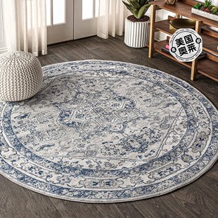 jonathan yModern Persian Vintage Medallion Area Rug - light