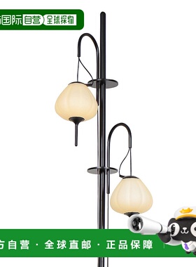 自营 vonnLecce VAF5222BL 70 英寸高度集成 LED 落地灯，带黑色