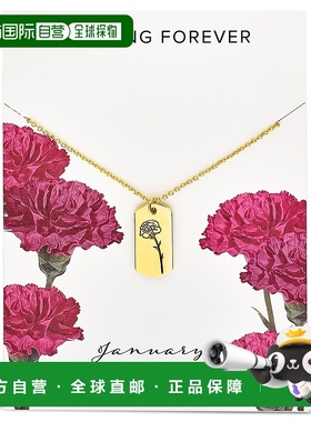 自营sterling forever诞生花吊坠 - 一月 / 康乃馨 【美国奥莱】
