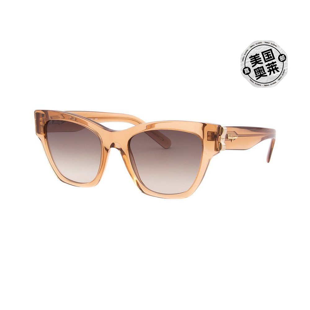 自营Salvatore Ferragamo 女士 SF1010S 53 毫米太阳镜 - 棕色 美