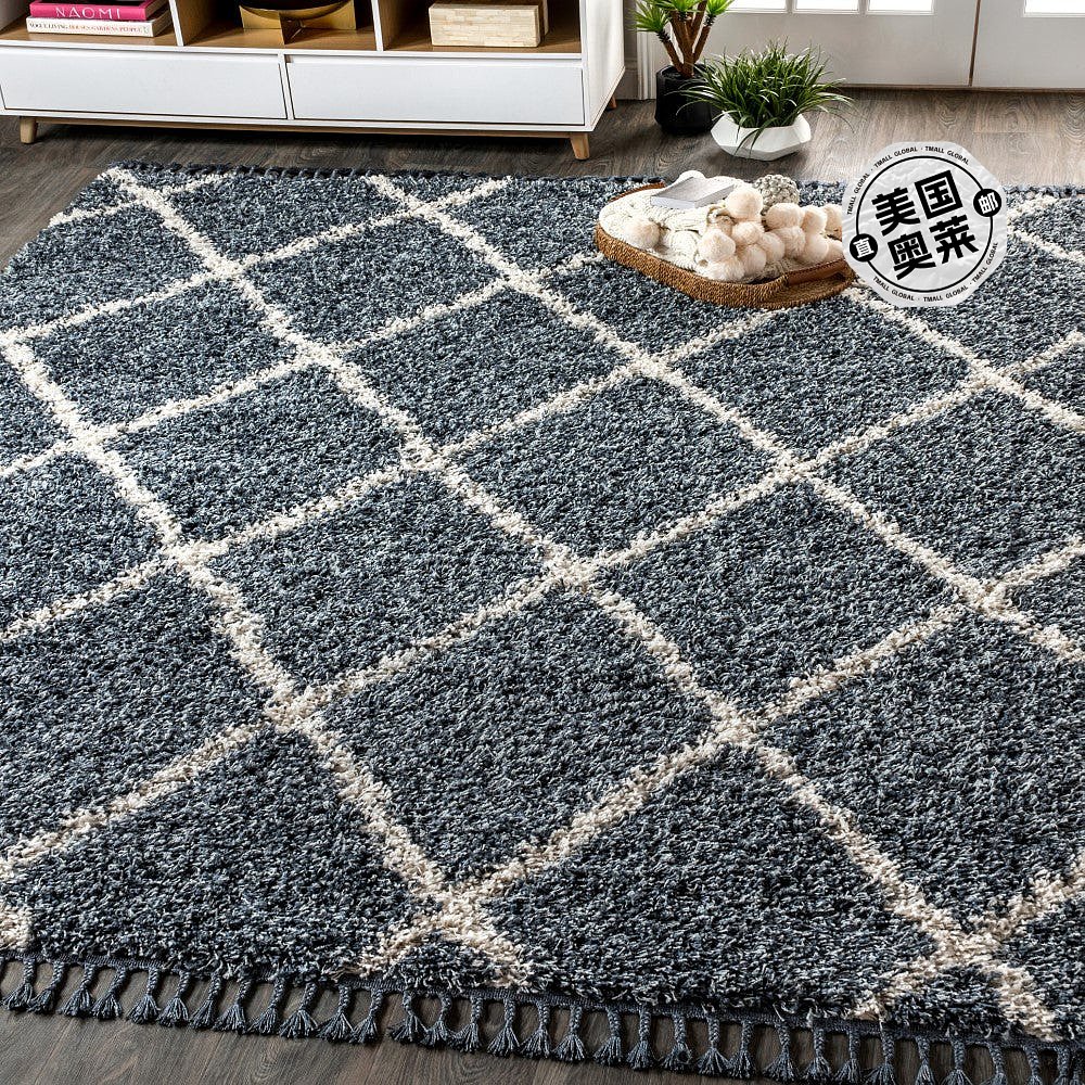 jonathan yMercer Shag Plush Tassel Moroccan Geometric Trelli
