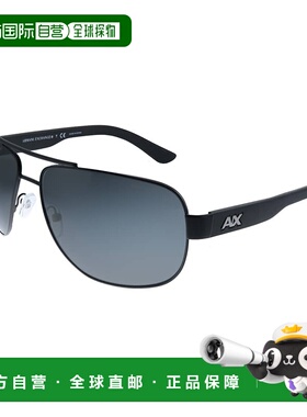 自营Armani Exchange  AX 2012S 606387 Unisex Aviator Sunglass