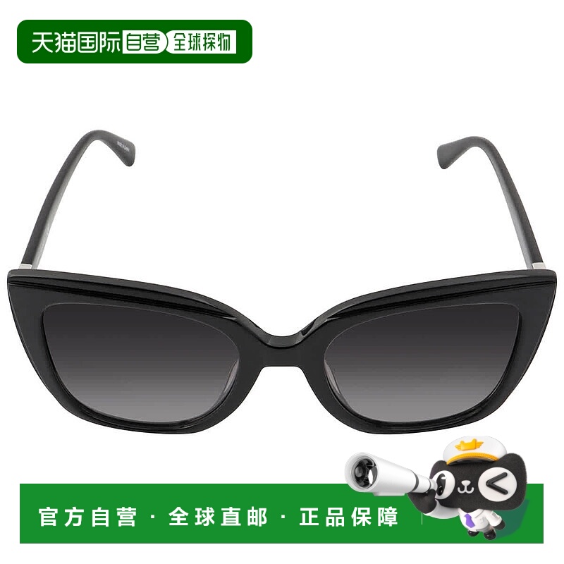 自营Longchamp Grey Gradient Cat Eye Ladies Sunglasses LO669S